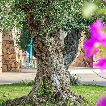 Corte Bianca - Adults Only & - Bovis Hotell
