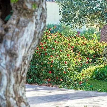 Hotel Corte Bianca - Adults Only & - Bovis