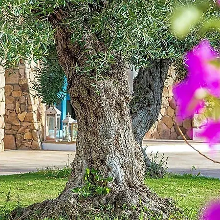 Corte Bianca - Adults Only & - Bovis Hotel 4*
