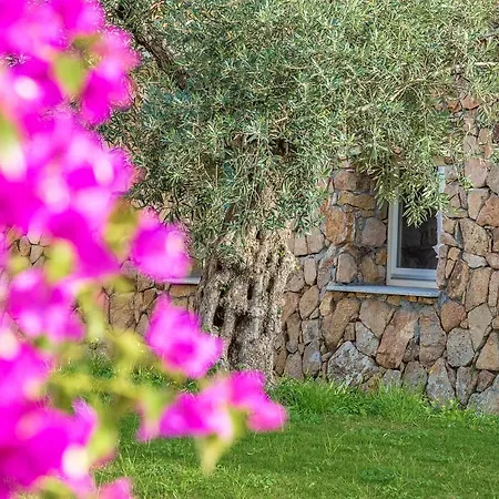 Corte Bianca - Adults Only & - Bovis 4*