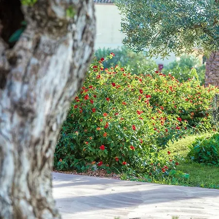 Hotel Corte Bianca - Adults Only & - Bovis 4*