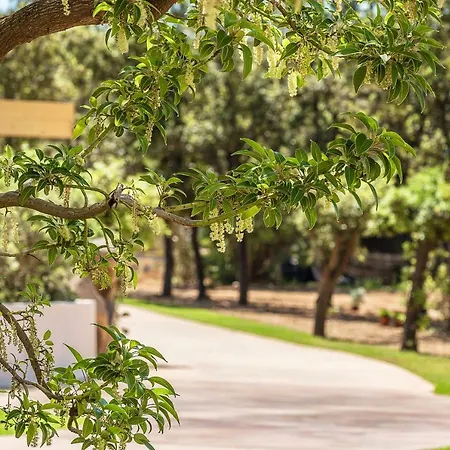 Corte Bianca - Adults Only & - Bovis Hotel 4*