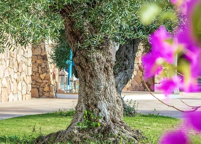 Corte Bianca - Adults Only & - Bovis Hotel