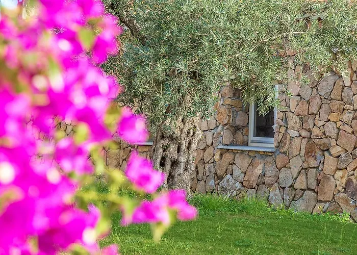 Corte Bianca - Adults Only & - Bovis 4*