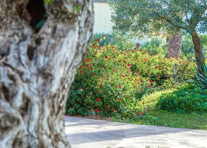 酒店 Corte Bianca - Adults Only & - Bovis 4*