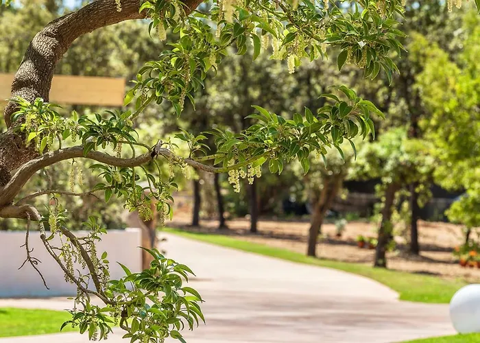 Corte Bianca - Adults Only & - Bovis 酒店 4*