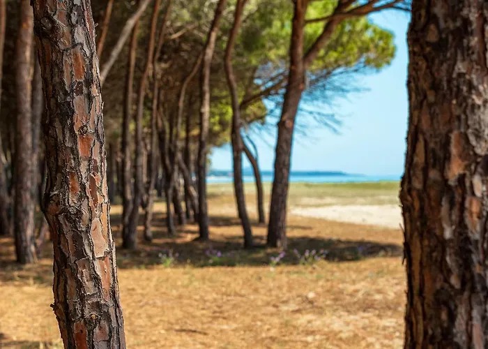 Corte Bianca - Adults Only & - Bovis